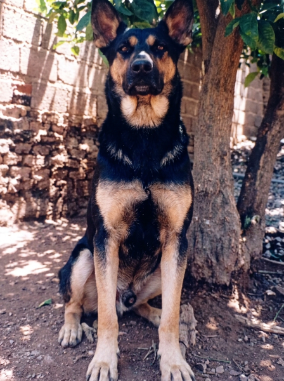 Uma lembrança especial do Dudu, meu grande amigo.
